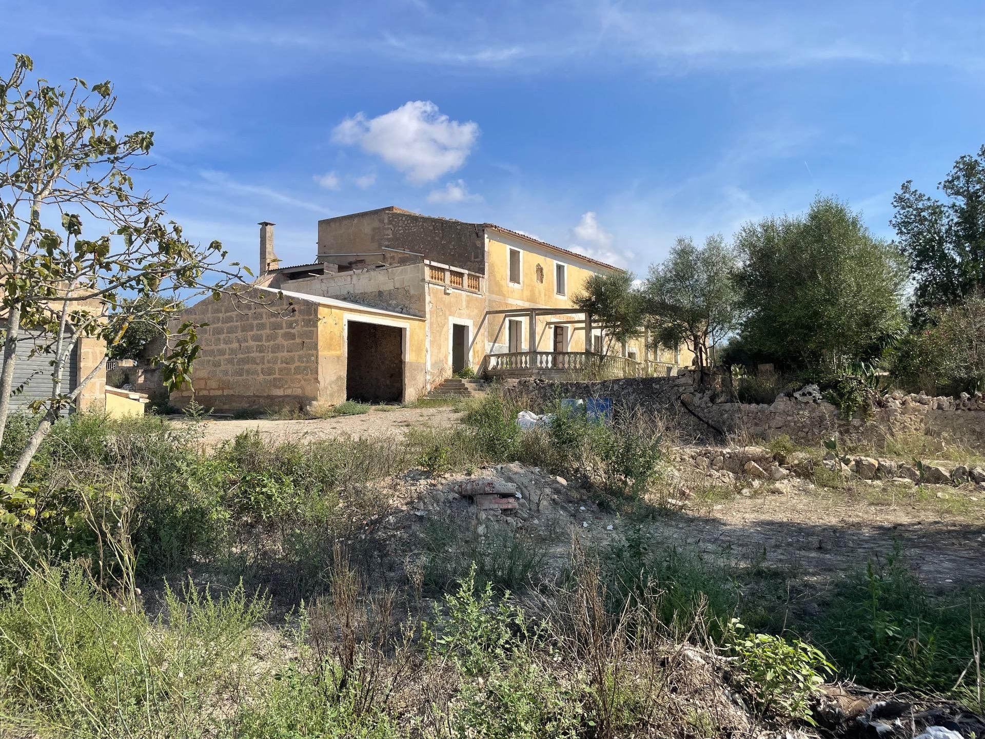 Vista exterior de Finca rústica en venda en Petra amb Jardí privat