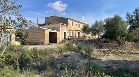 Foto 2 de Finca rústica en venta en Camino Diseminado, Petra, Illes Balears