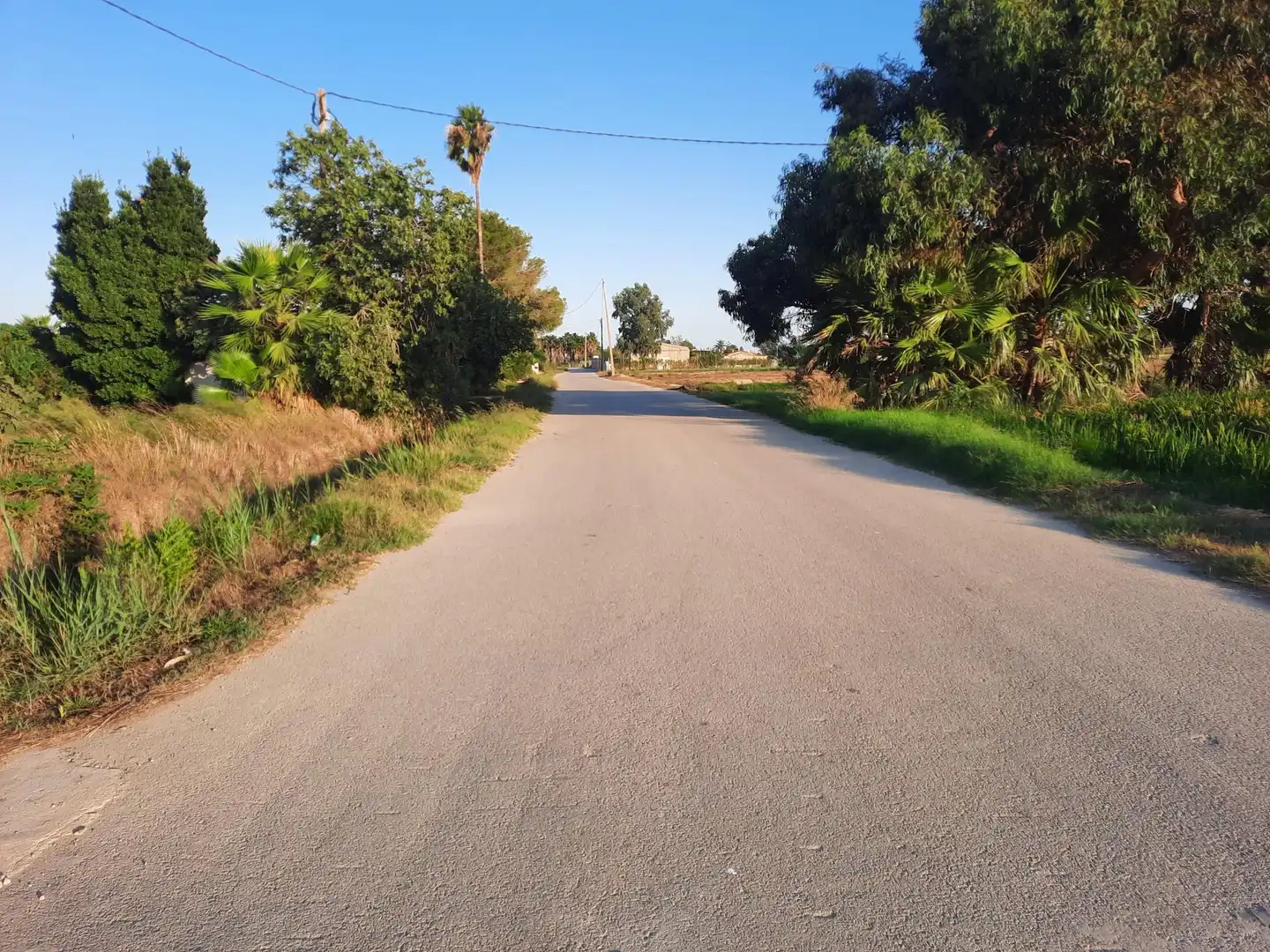 Terrain rustique à vendre à Eucaliptus- Poble Nou del Delta, imagen 13
