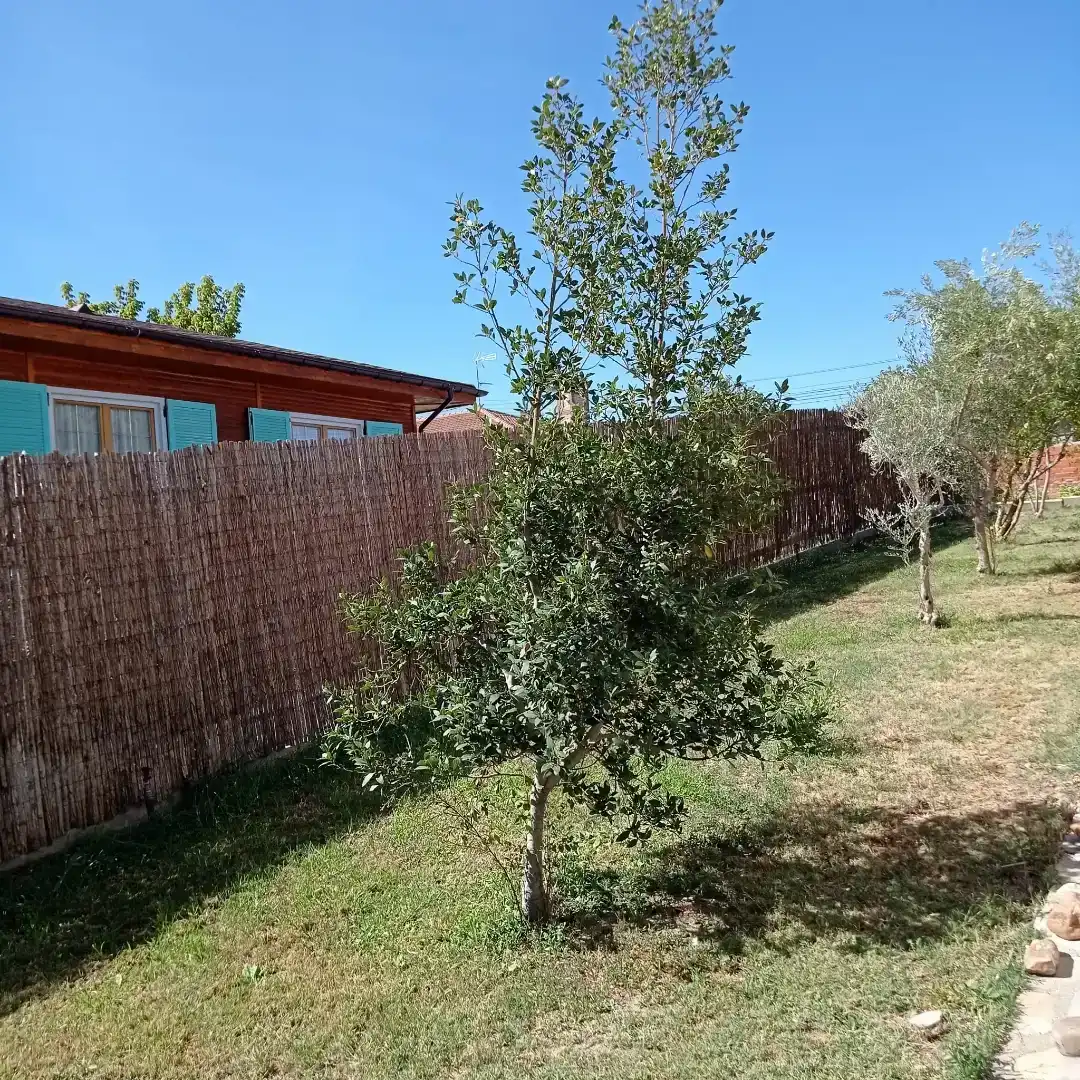 Piso en venta en Escalona con Jardín privado y Trastero