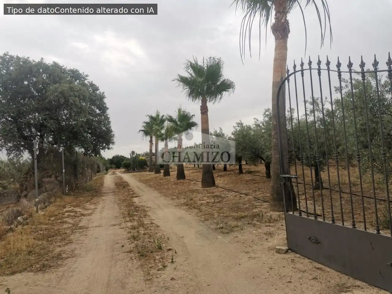 Casa o chalet en venta en Campanario con Jardín privado, Trastero y Piscina