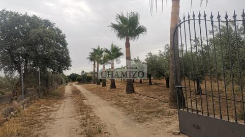 Photo 5 of House or chalet for sale in La Guarda, 1, Campanario, Badajoz