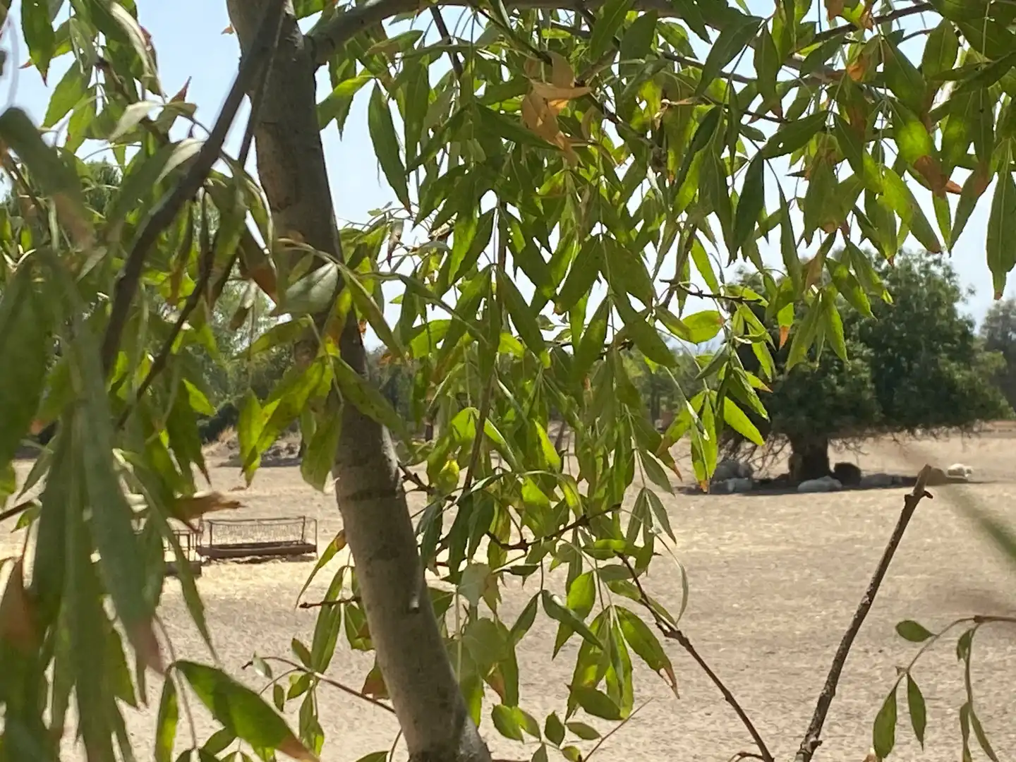 Terreni e lotti in vendita a Oropesa, imagen 10