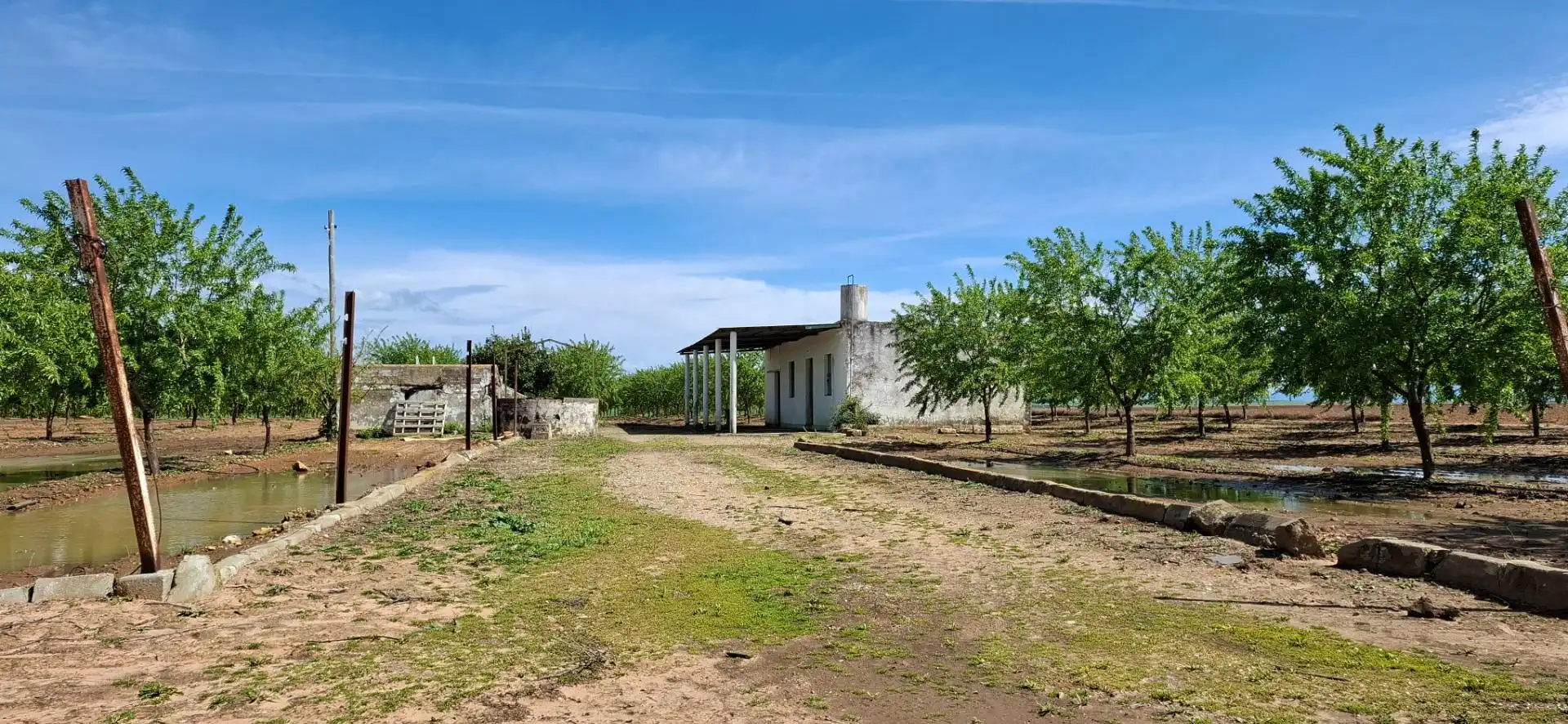 Terreno en venta en Utrera