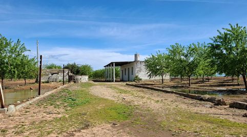 Foto 3 de Terreno en venta en Polígono Polígono 85 Paraje 534 Mataburras, Pedanías Sur, Utrera