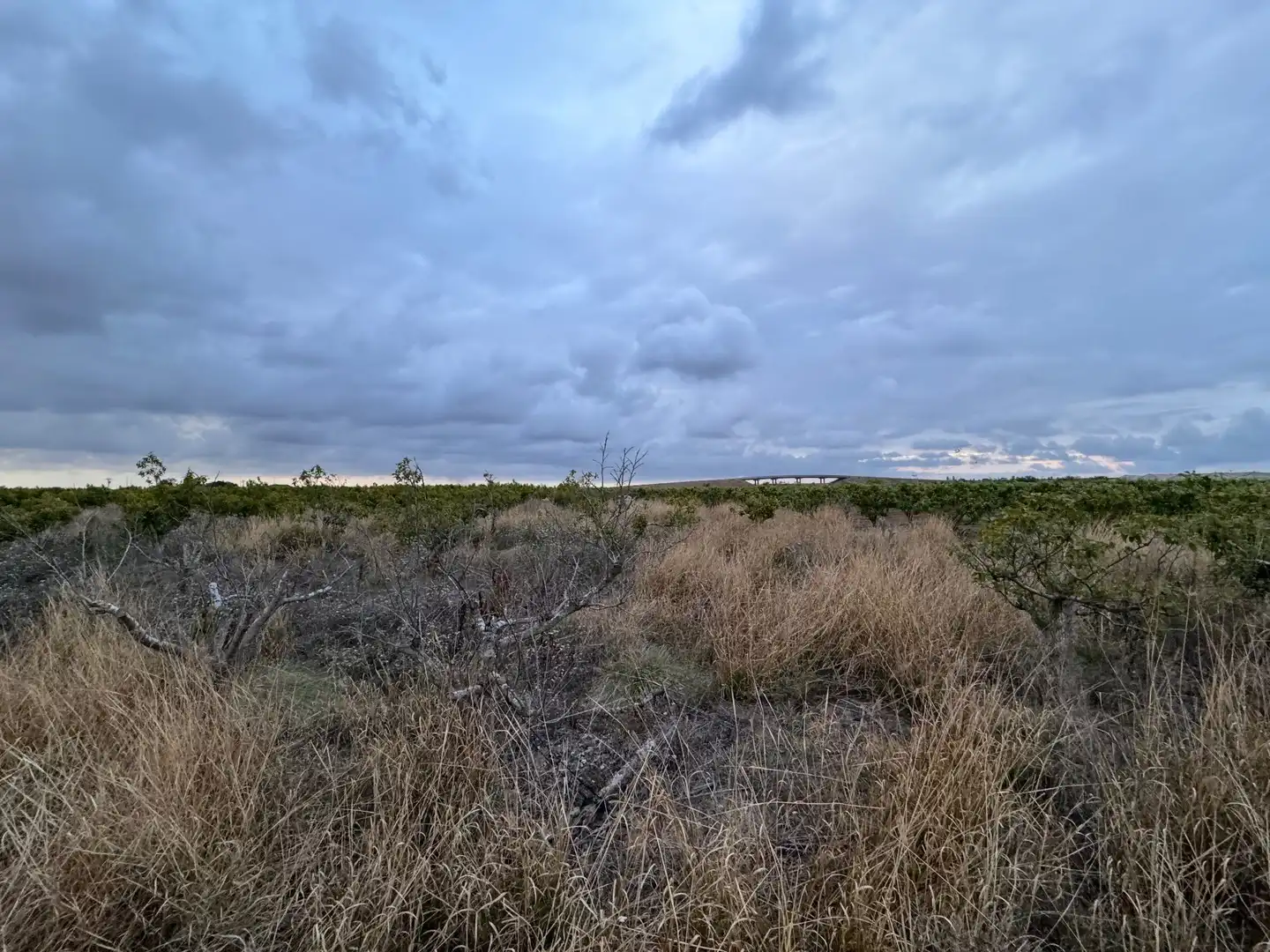 Terrenos y solares en venta en Polígono 10 Parcela 62, imagen 8