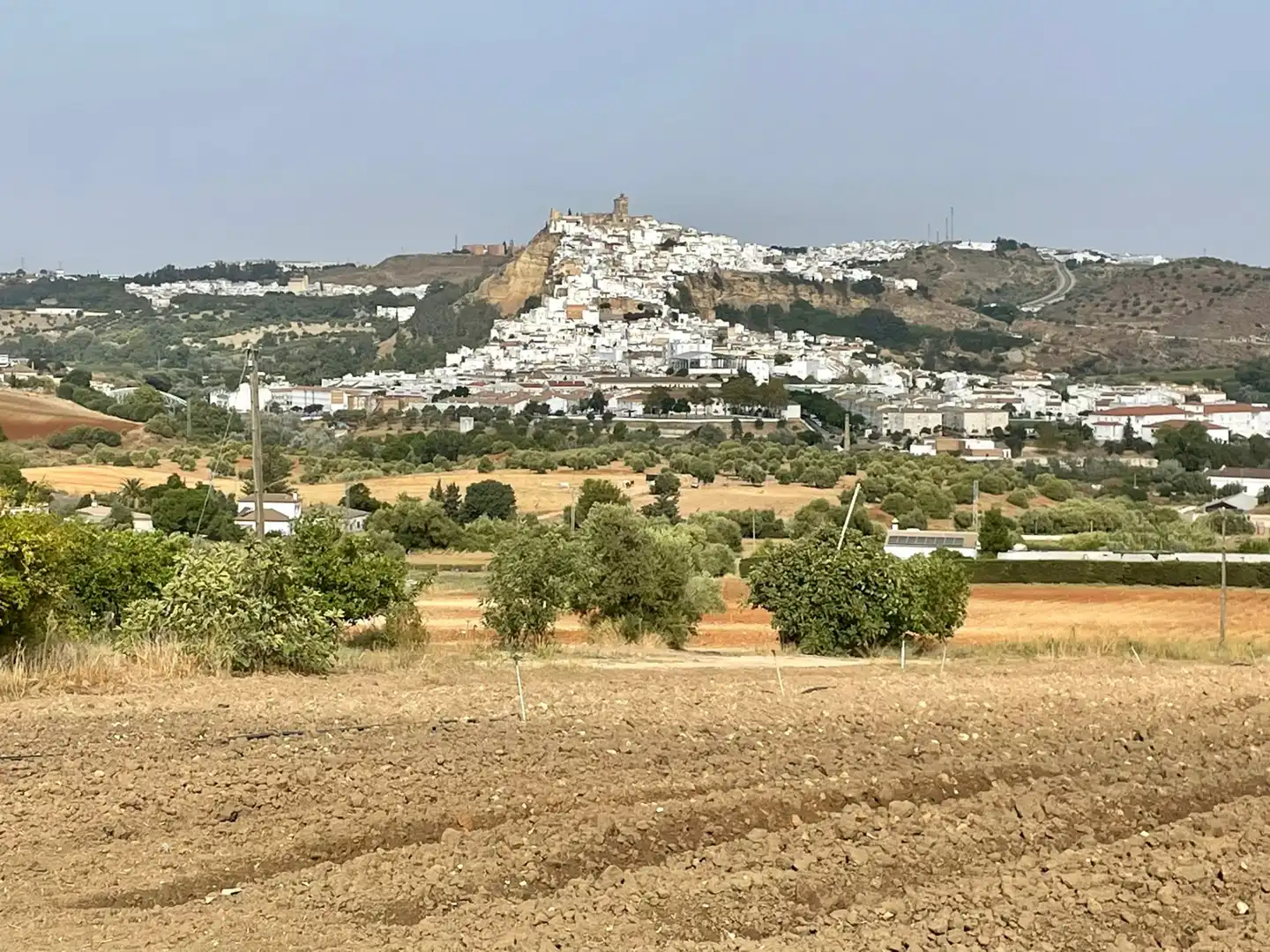 Terreni e lotti in vendita a Arcos de la Frontera, imagen 31