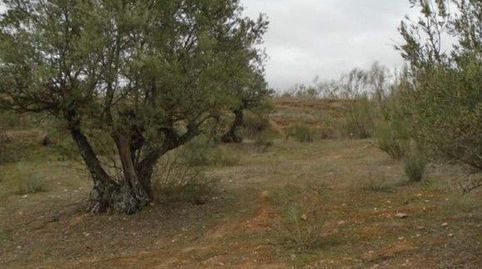 Parcela en venta en Quer., immagine 5