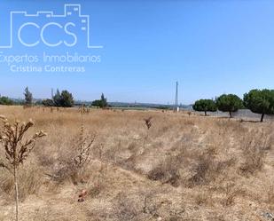 Industrial land for sale in Jerez de la Frontera