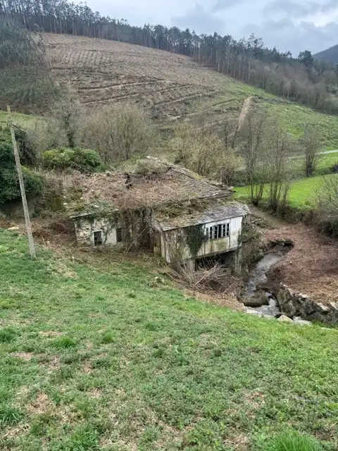 Vista exterior de Finca rústica en venda en Castropol