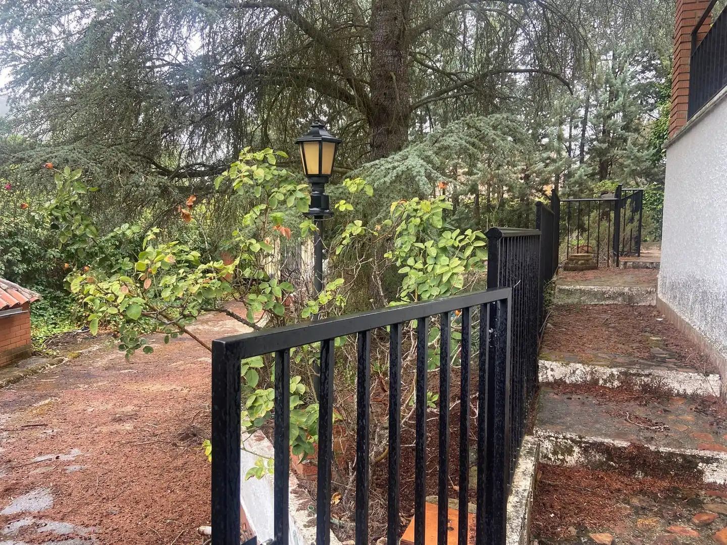 Jardí de Casa o xalet en venda en Piedrabuena amb Aire condicionat, Calefacció i Jardí privat
