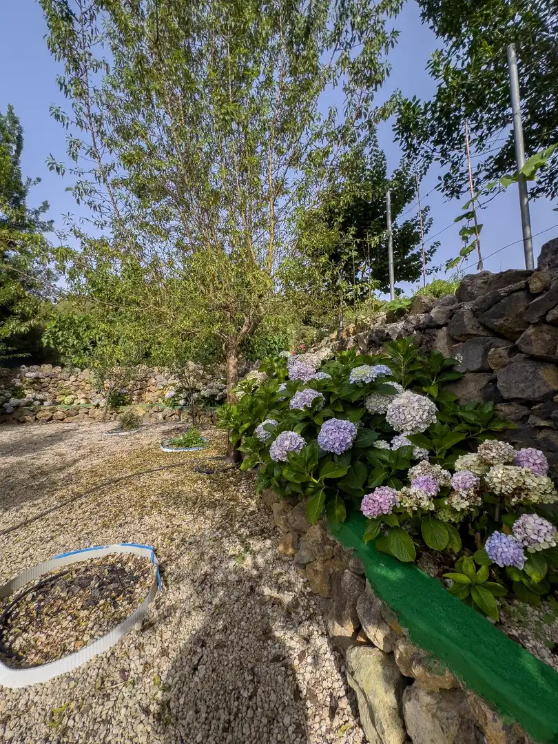 Jardí de Finca rústica en venda en Icod de los Vinos