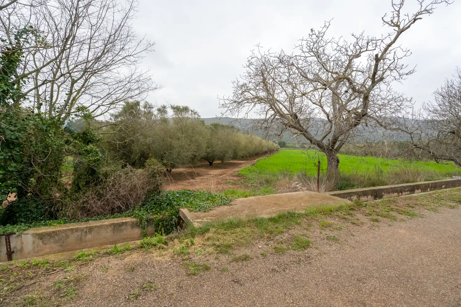 Rural land for sale in Godall, imagen 15