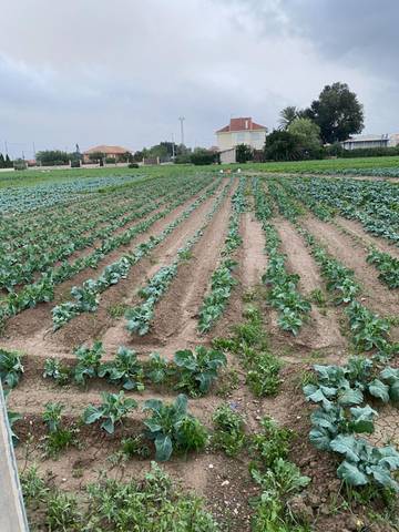 Terreno residencial en Venta en Santa Cruz