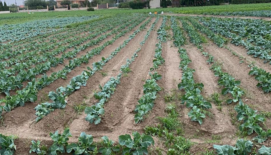 Foto 1 de Residencial en venda a Santa Cruz, Murcia