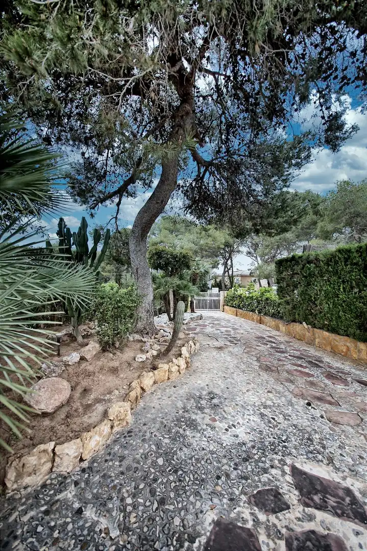 Jardín de Casa o chalet en venta en Paterna con Aire acondicionado, Calefacción y Jardín privado