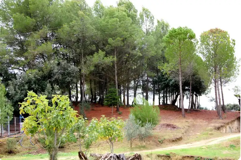 Xalet amb piscina en venda a Partidas Norte, imagen 5