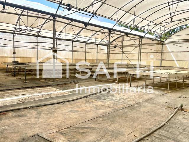 Terreno en Venta en Alfarp