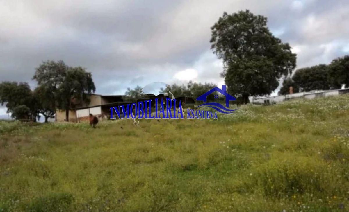 Finca rústica en venda a Cerro Muriano