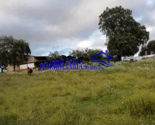 Finca rústica en venda a Cerro Muriano