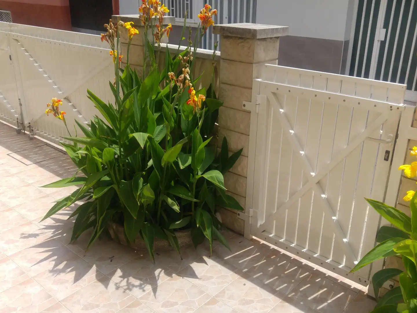 Jardín de Piso en venta en Cunit con Terraza y Trastero