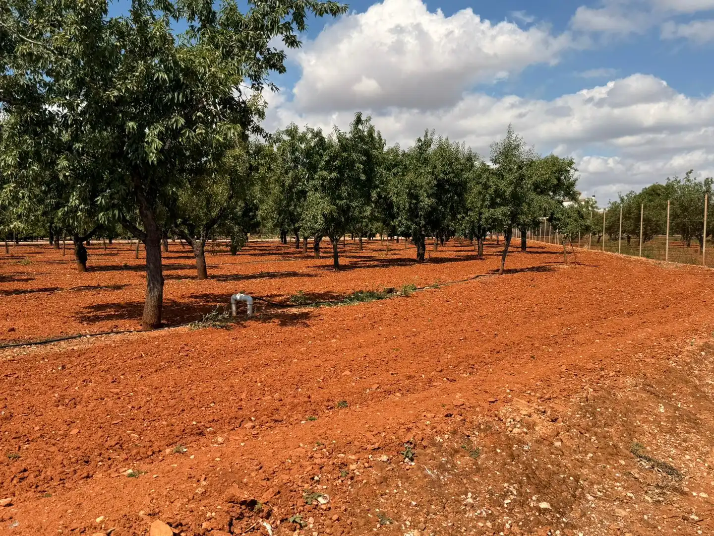 Jardí de Finca rústica en venda en Cartagena amb Aire condicionat, Terrassa i Traster