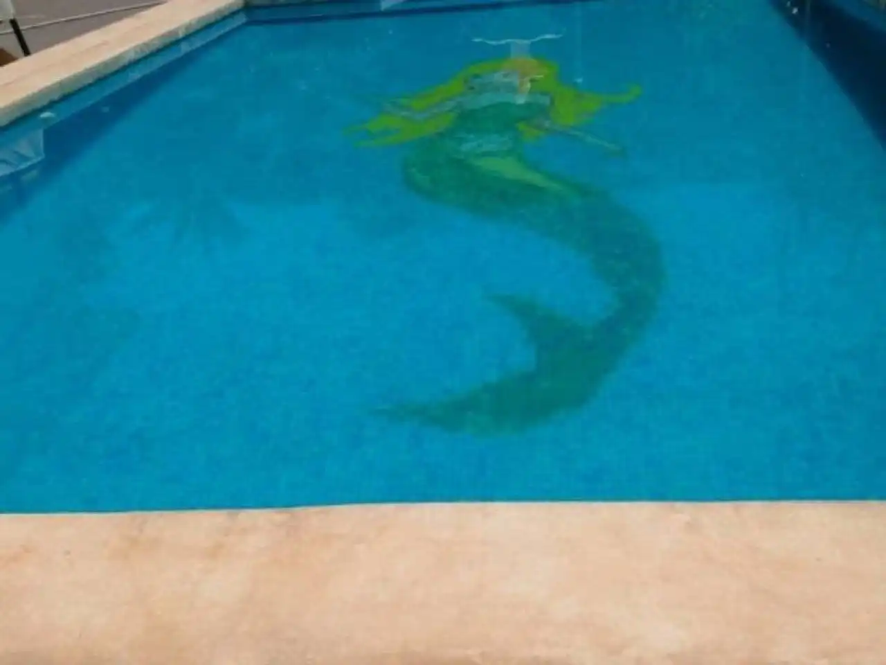 Piscina de Casa o chalet en venta en Benillup
