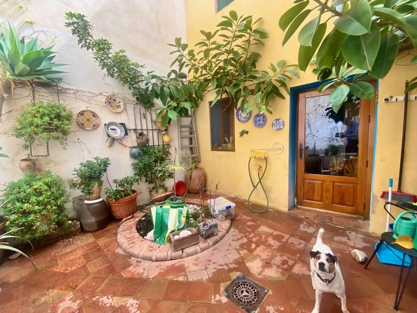 Casa rústica amb jardí en venda a La Nucia Pueblo, imagen 7