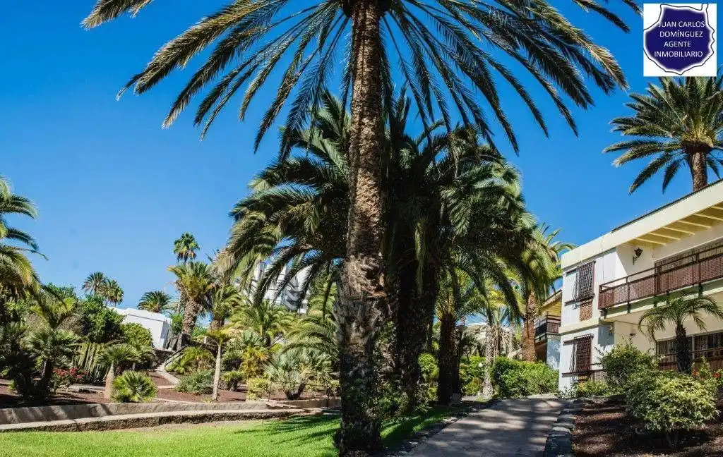 Exterior view of Apartments for rent in San Bartolomé de Tirajana  with Terrace, Furnished and Community pool