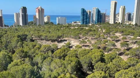 Foto 5 de Piso de alquiler en Avenida de Nicaragua, Foietes, Benidorm