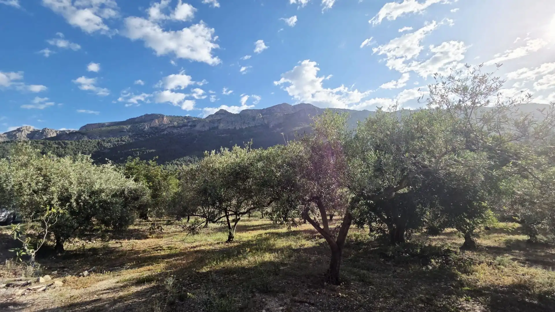 Grundstücke und Bauplätze zum Verkauf in El Castell de Guadalest, imagen 18