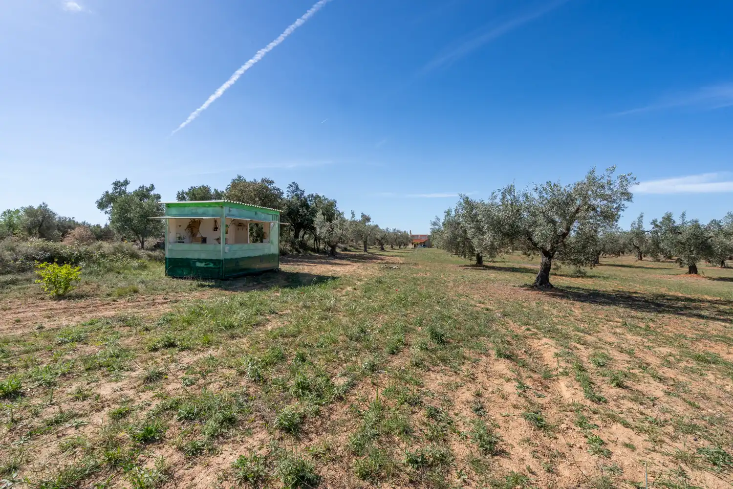 Rural land for sale in Raval dels Àngels 18, imagen 38