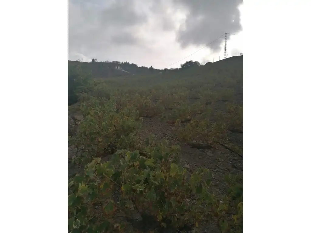 Casa en venta en Viñuela, imagen 10