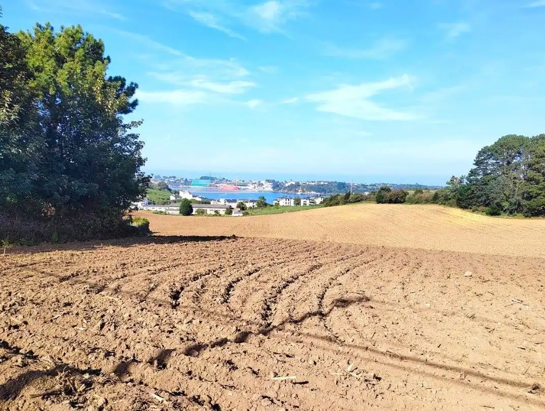 Grundstücke und Bauplätze zum Verkauf in Quintalonga, imagen 8