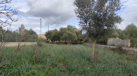 Foto 3 de Residencial en venda a Ariany, Illes Balears