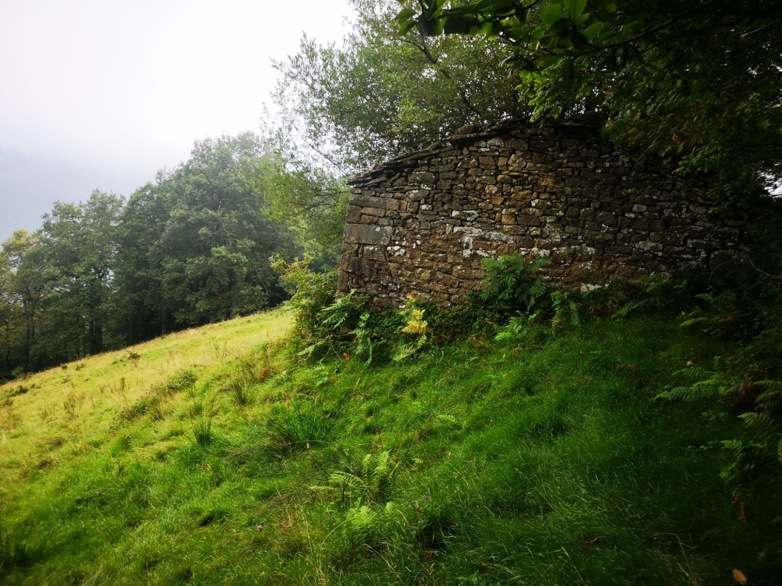 Casa o xalet en venda en Vega de Pas amb Jardí privat