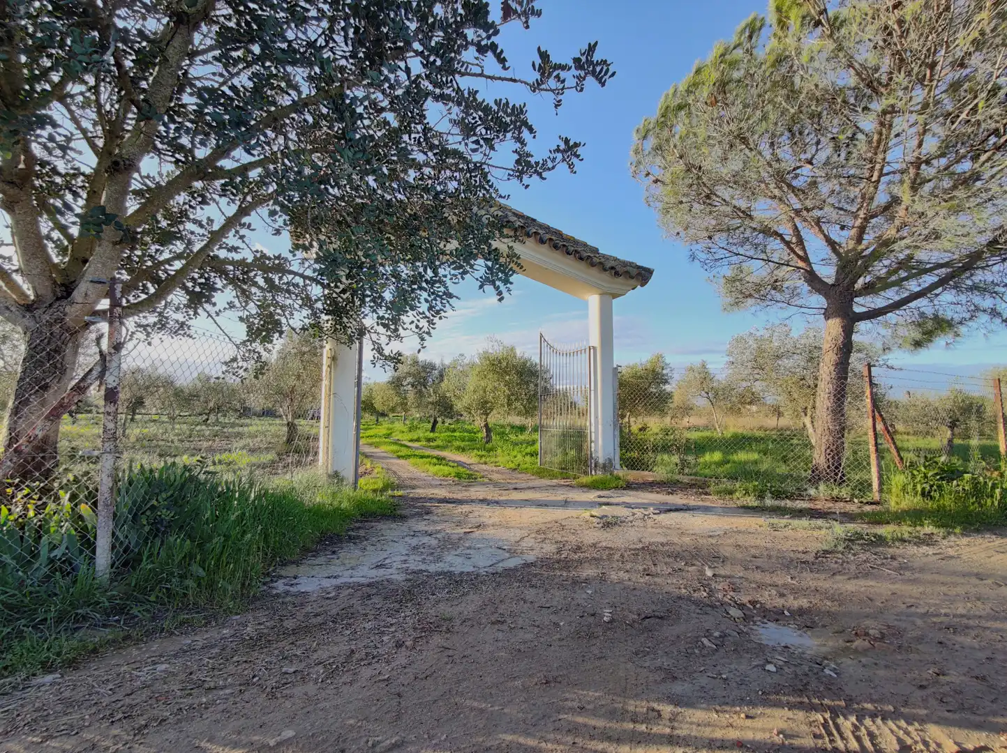 Lands and plots for sale in Lebrija, imagen 20