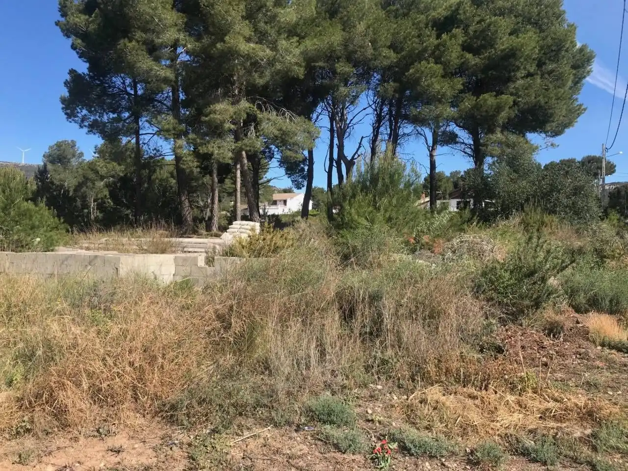 Terreny residencial en venda a Cabra del Camp