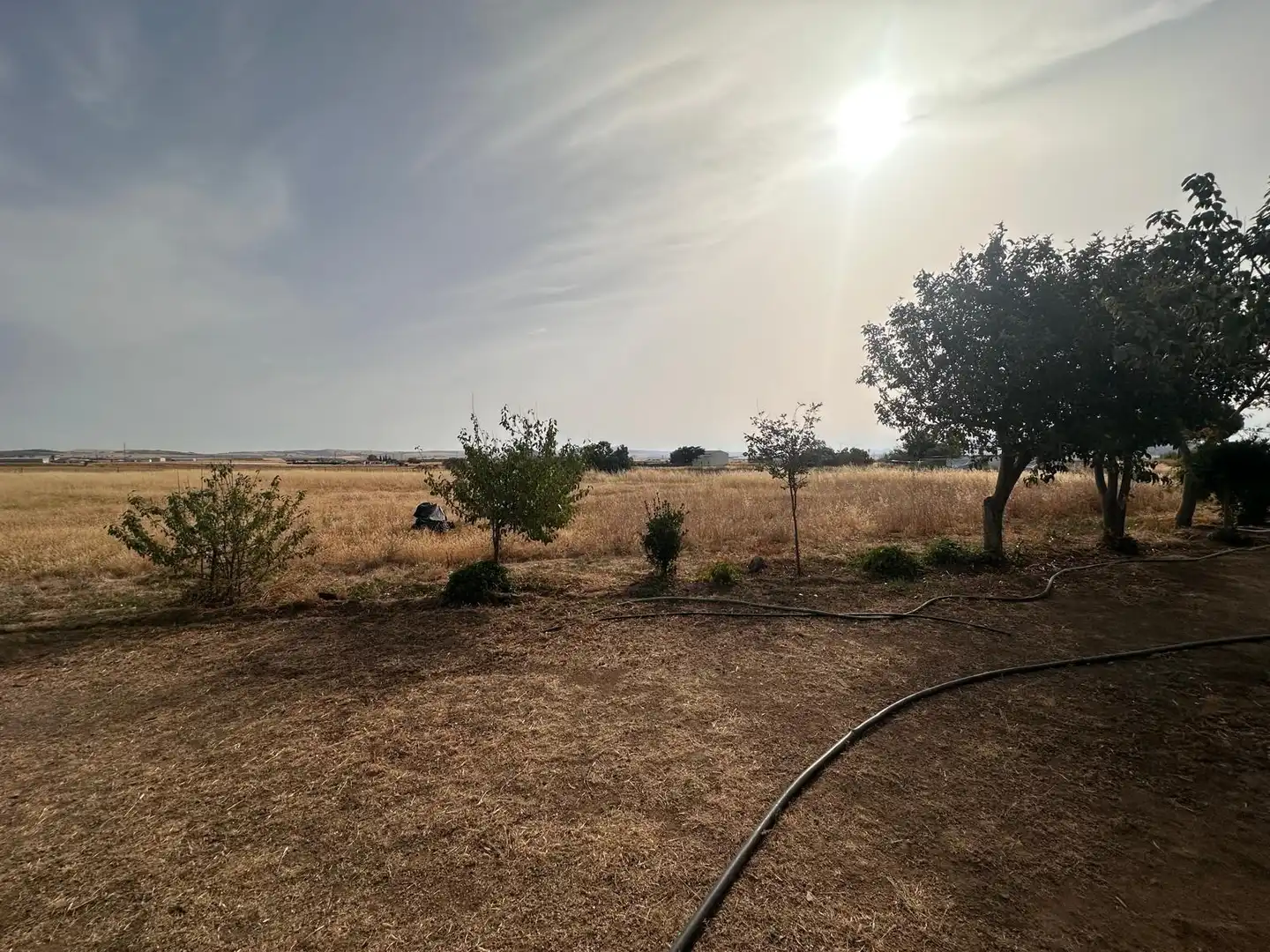 Rural land for sale in Fuente Obejuna, imagen 39