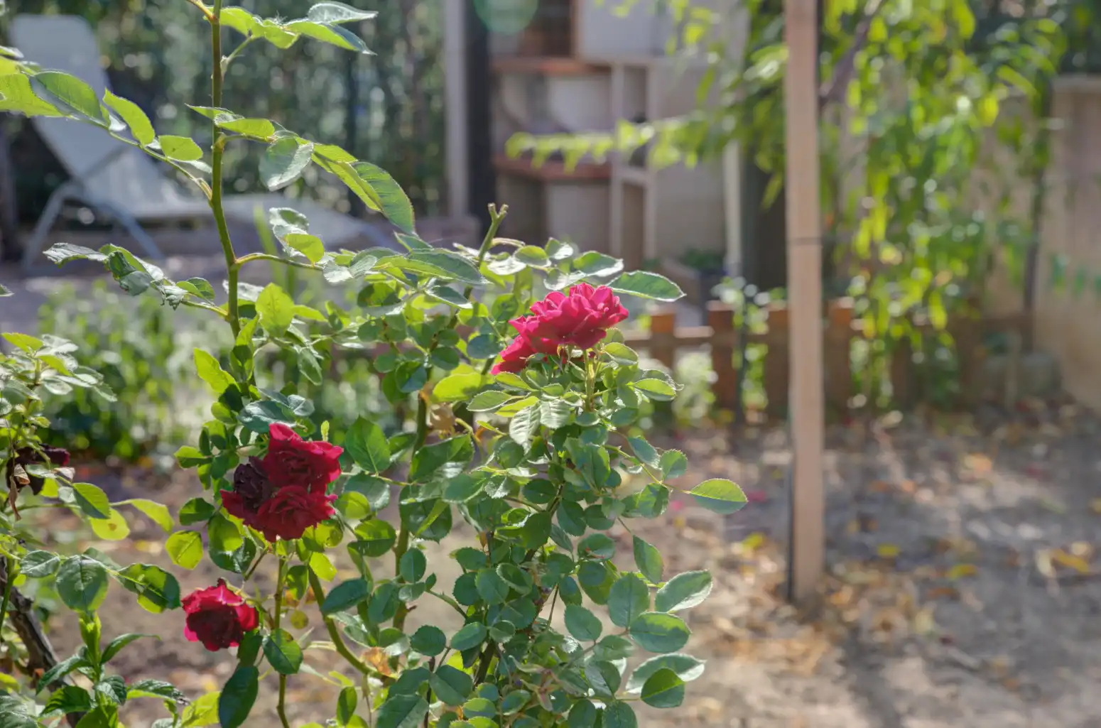 Garden of Attic for sale in Enériz / Eneritz  with Heating, Private garden and Parquet flooring
