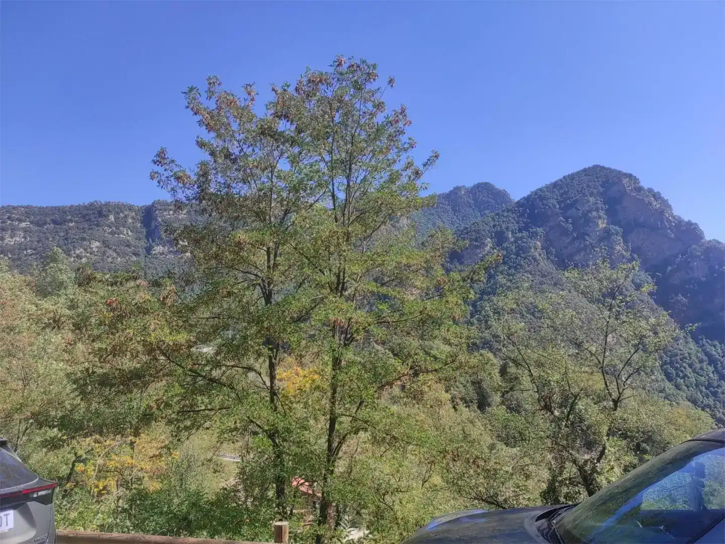 Piso en venta en Cercs con Jardín privado y Amueblado