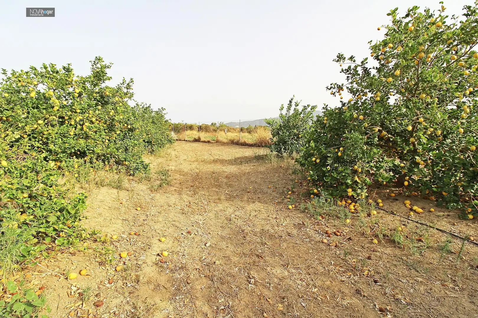 Finca rústica en venta en Málaga