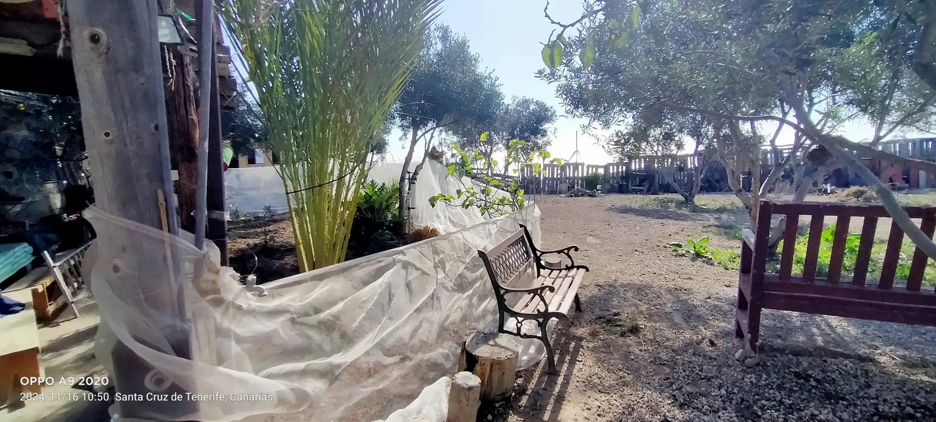 Jardín de Terreno en venta en Arico
