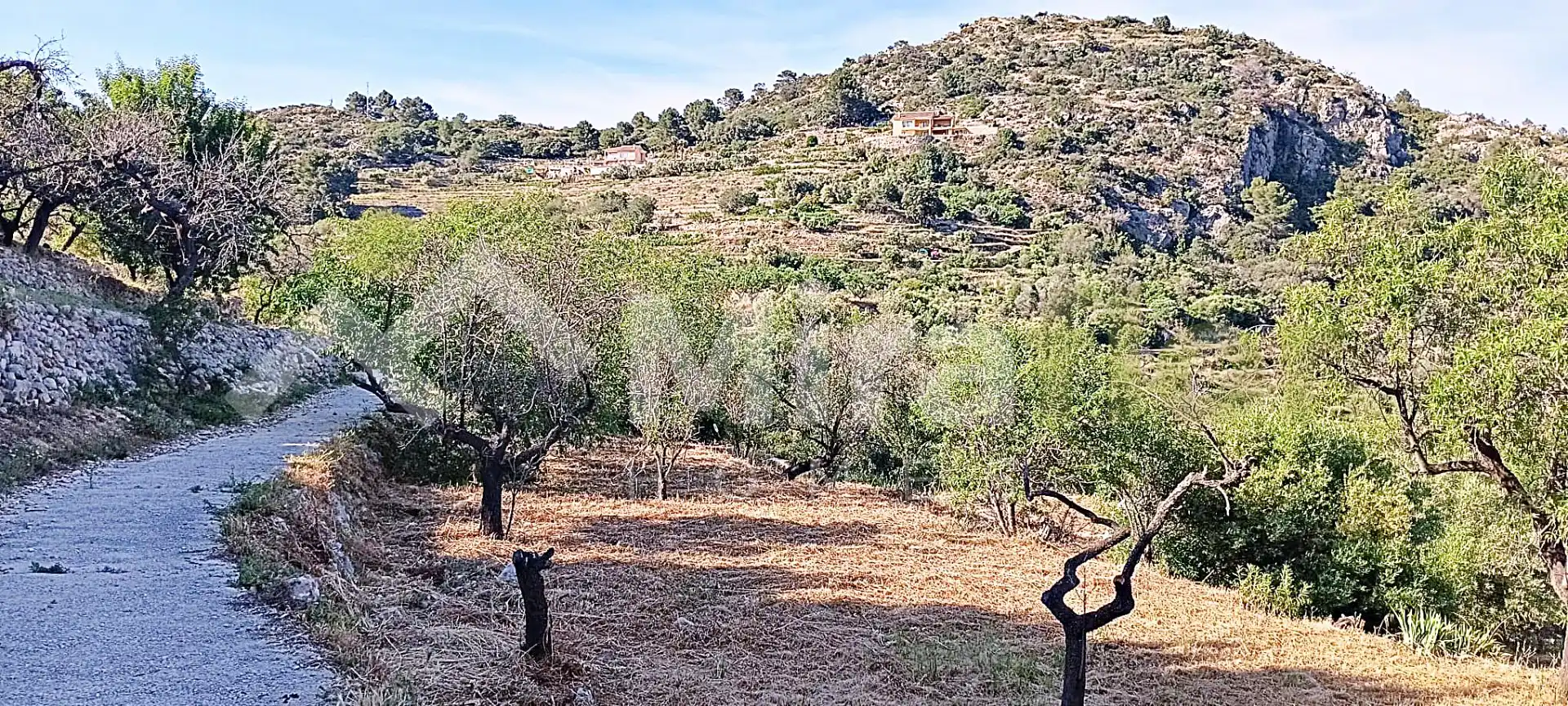 Terreny rústic en venda a Castell de Castells, imagen 4