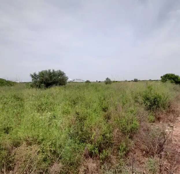 Terreny residencial en venda a Polígono 3, imagen 10