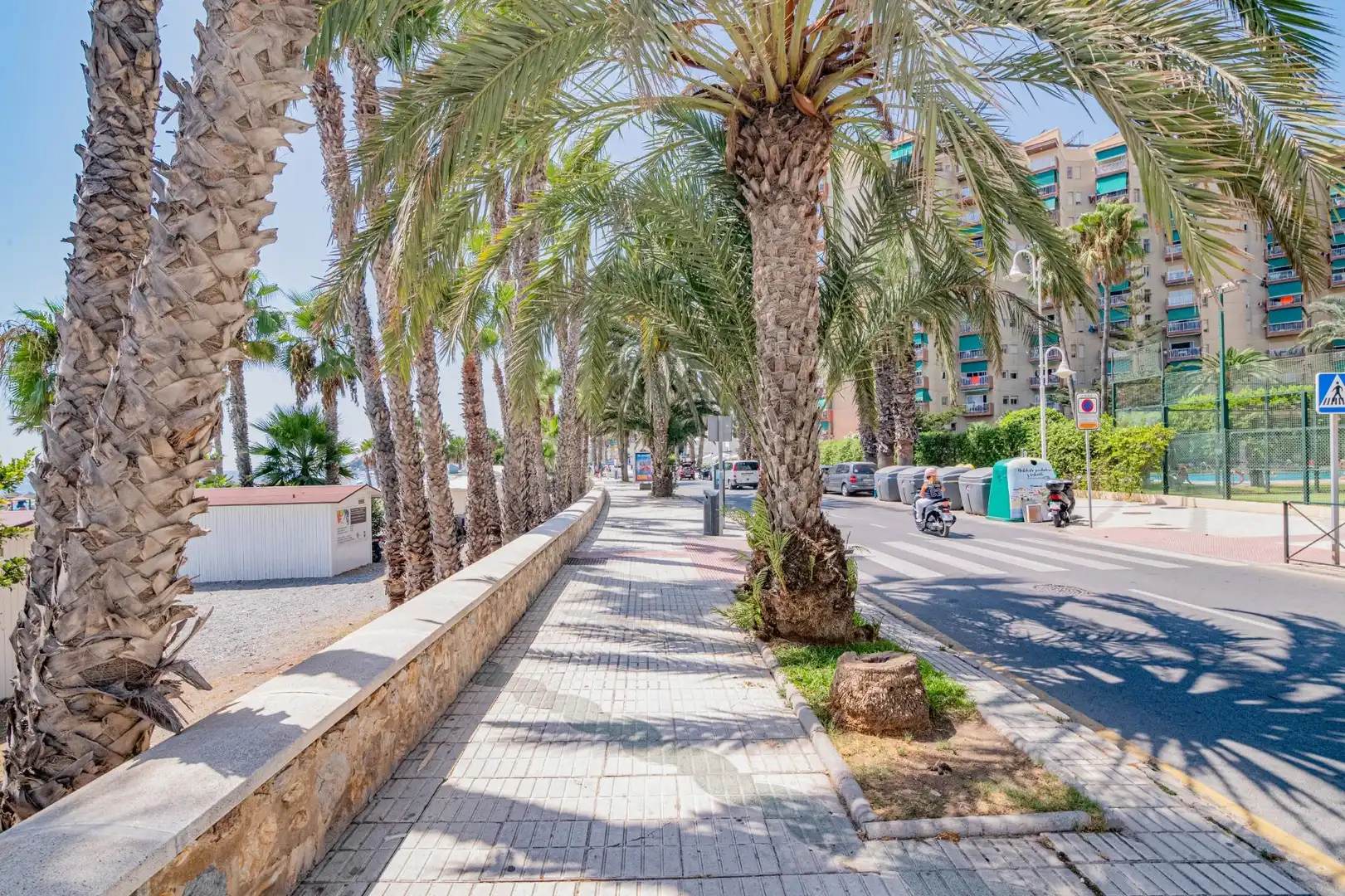 Apartamento con piscina en venta en Paseo REINA SOFIA 3, imagen 39