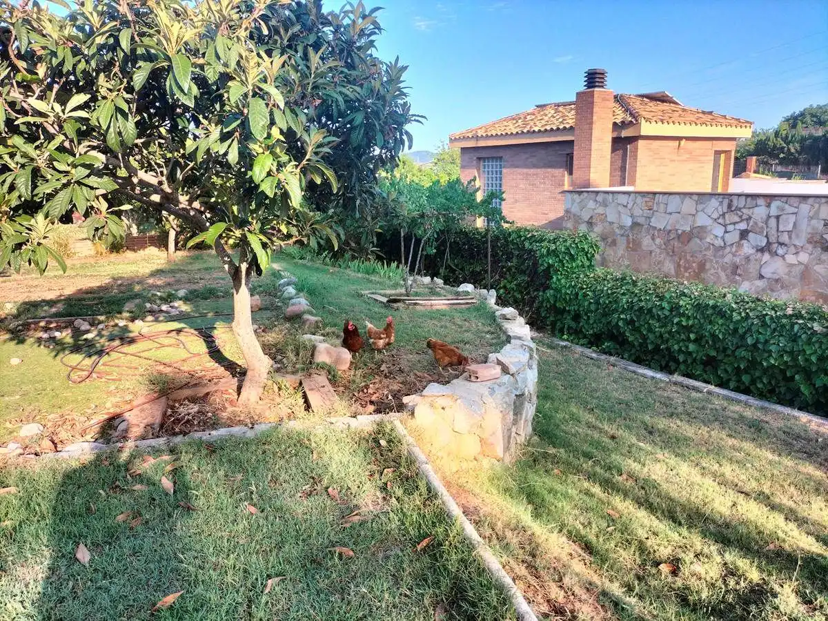 Terrenos y solares en venta en Castellbisbal, imagen 13