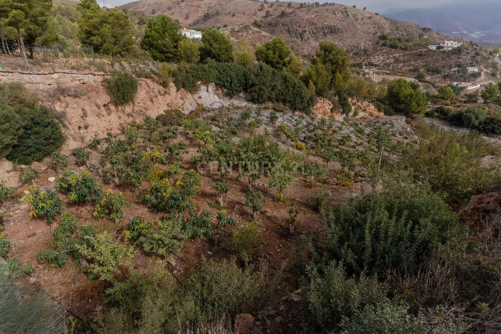Terreni e lotti in vendita a PHPX+WF Gualchos, Spain, imagen 39