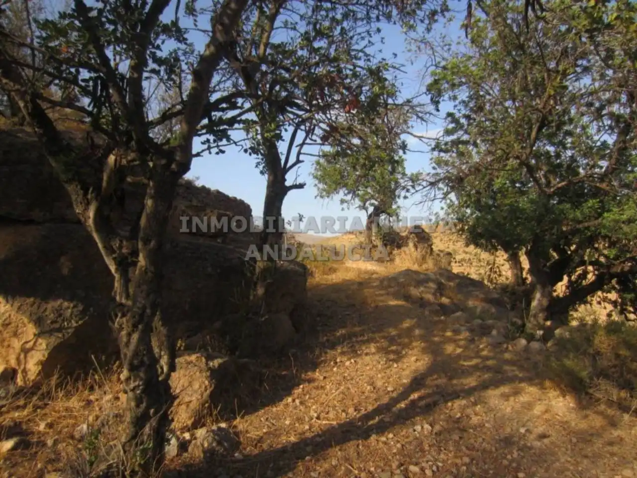 Terreny rústic en venda a Canjáyar, imagen 13