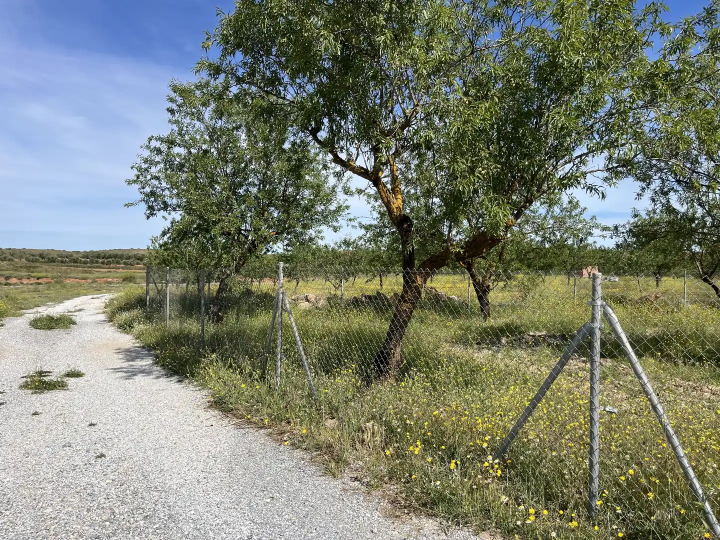 Rustikales Grundstück zum Verkauf in Avenida de Andalucía, imagen 9